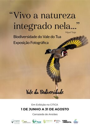 biodiversidade_do_tua_cartaz_biodiversidade_500x700mm___3mm_bleed___1__01_01
