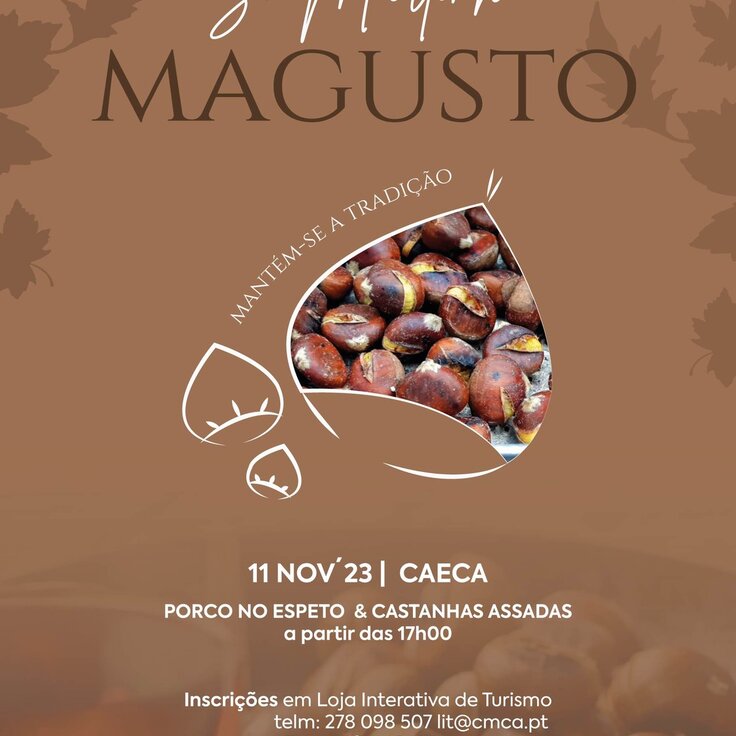 magusto_2023_a3