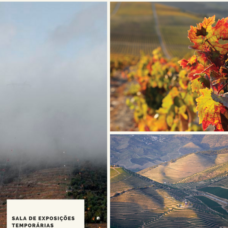 programa_com_fotografia_e_montagem_e_exposicao_para_evento__210_x_297_mm_