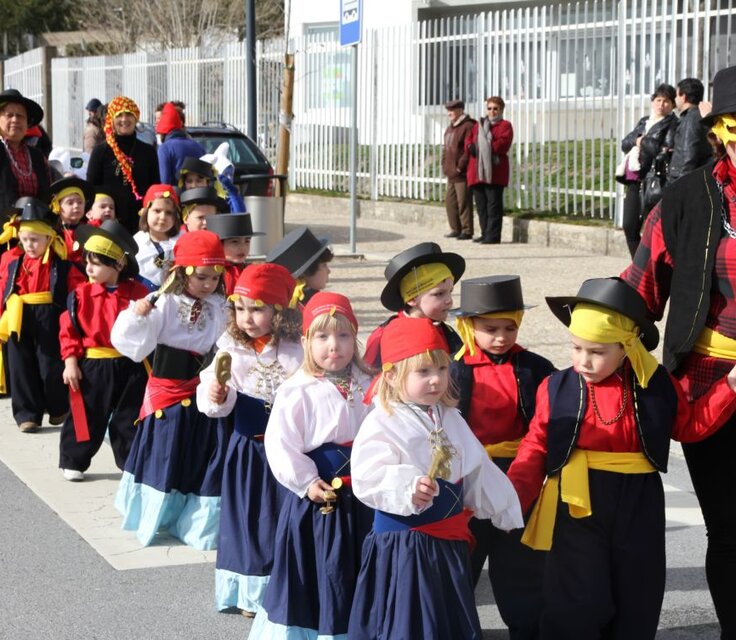 carnaval_2014_escolas-12-