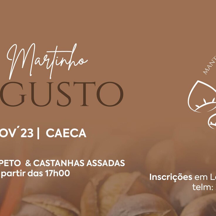 magusto_2023_site