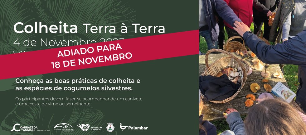 colheita_terra_a_terraadiado_site