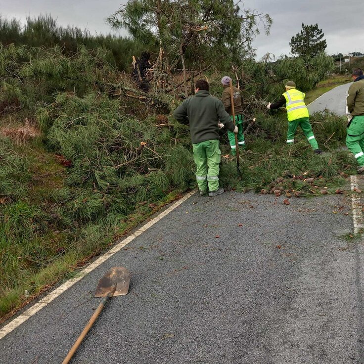 98315c2c_0a1c_49ad_96fb_00928bb02650