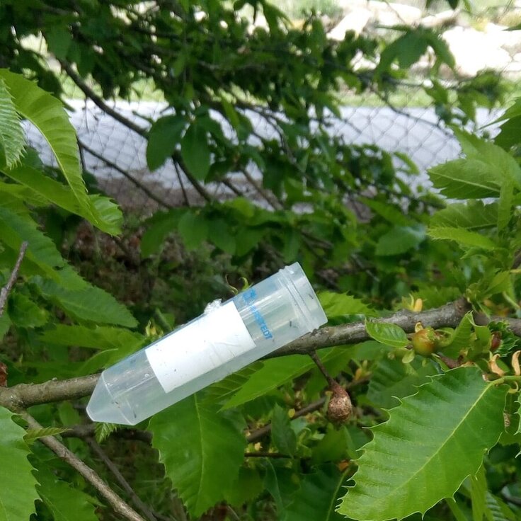 26879db8_81ea_473b_9cbf_1ad273a93c81