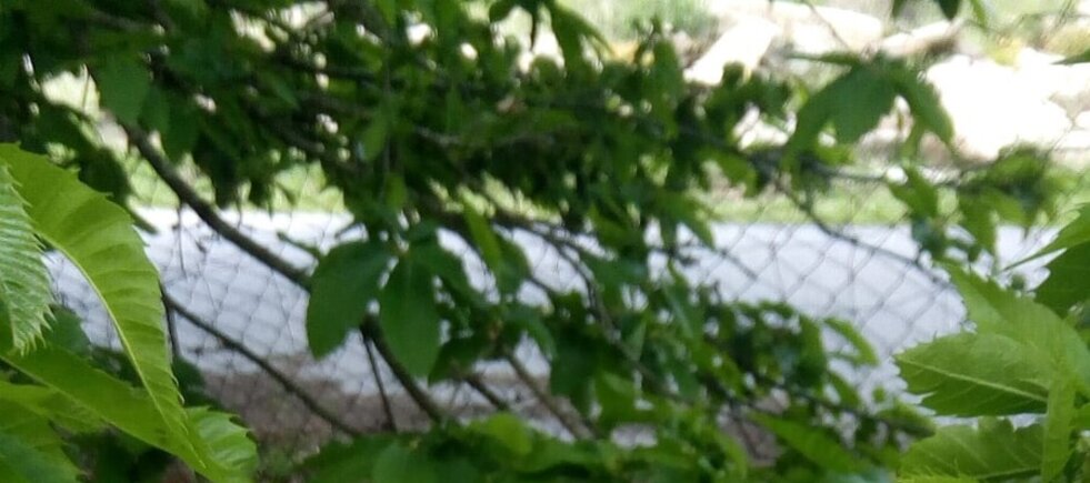 26879db8_81ea_473b_9cbf_1ad273a93c81