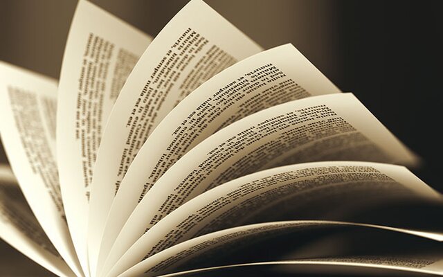 livro-folhas-estante-fnac