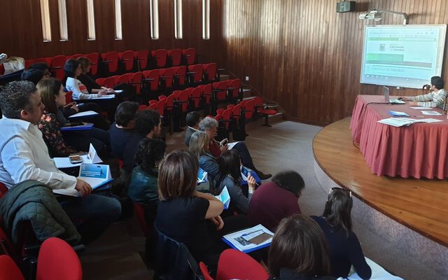 55575976_280620596163322_6755643549816979456_n