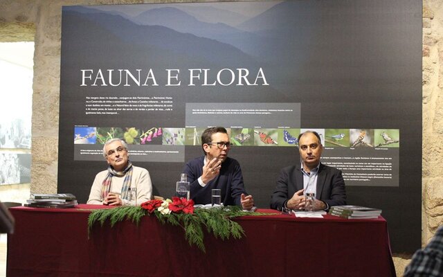 78557673_2445662659035815_6512668239040872448_o