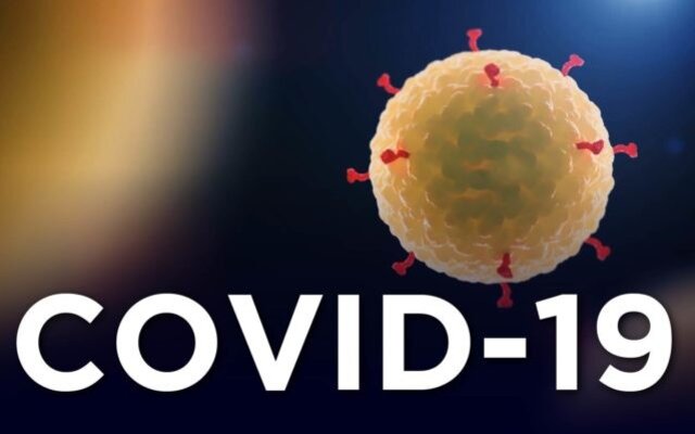 5988555_coronavirus_thumb_img_covid_01_735x400