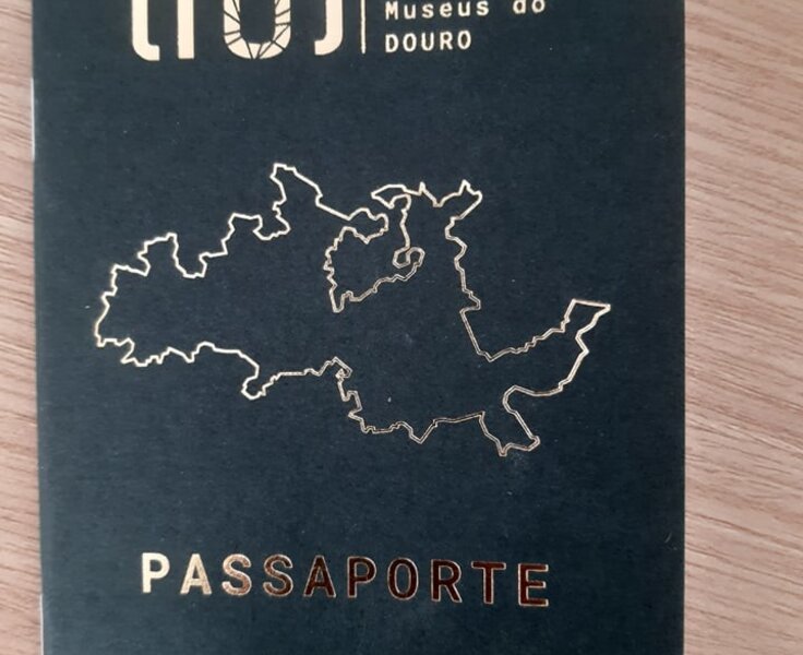 118765649_230673551704033_8531741760355428604_n