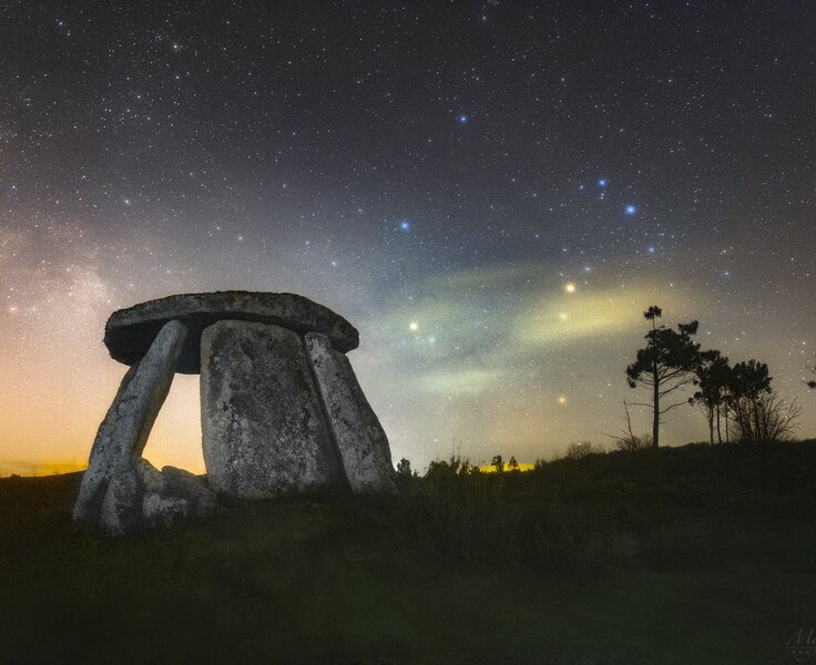 antadezedes_scorpius_3375_net_1