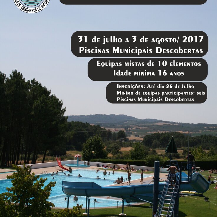 Ansi es sem fronteiras 1 736 736