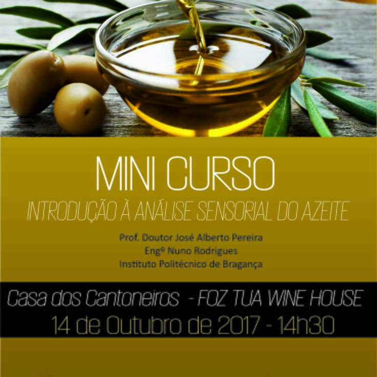 Curso azeite 1 736 736