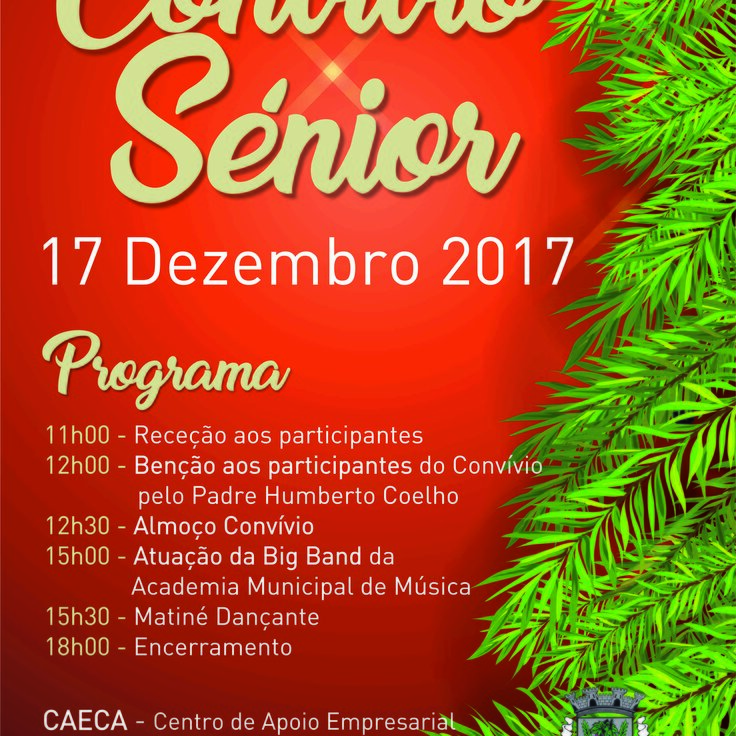 Cartaz convio senior 1 736 736