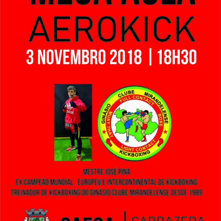 Aerokick 1 736 736