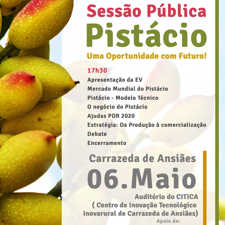 A4 sp  pistacho 3 1 736 736