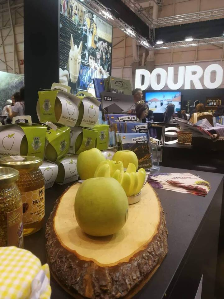 54200975_2245023585766391_6599737551232172032_n