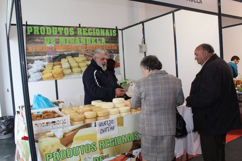 57882204_2264602657141817_3956062662307086336_n