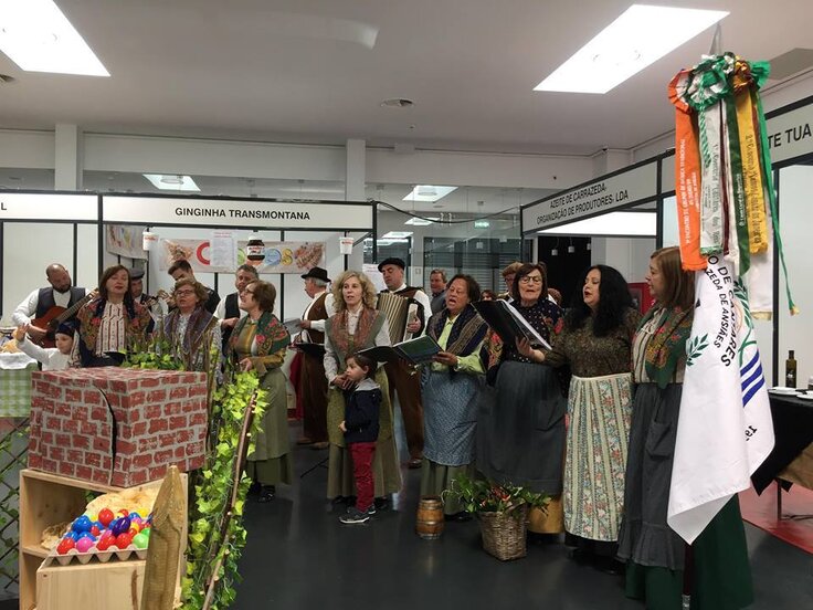 57556905_2266031513665598_3005566385154686976_n