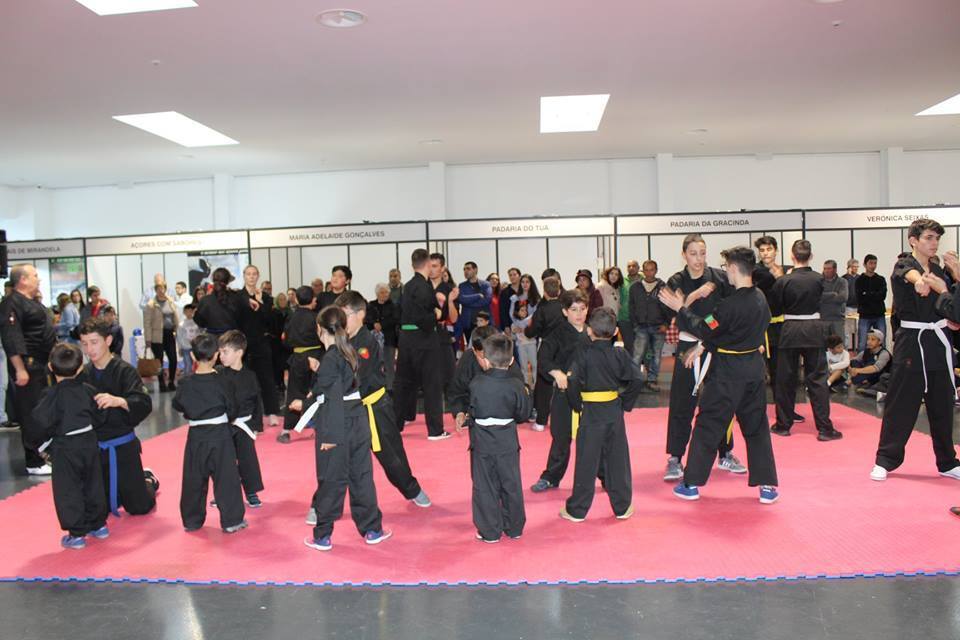 57328176_2265299990405417_2140617056150618112_n