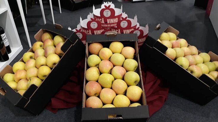 57277763_2274719452796804_4025274054532399104_n