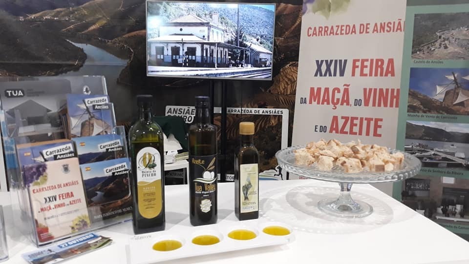 59138268_2273992066202876_4976265129097166848_n