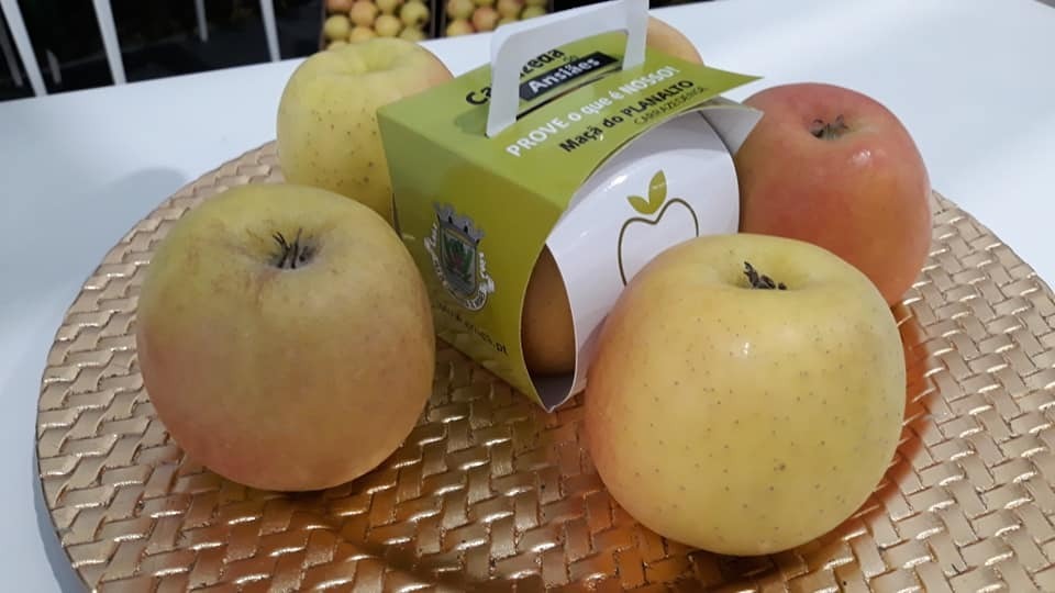 59163447_2274719476130135_1737208365928415232_n