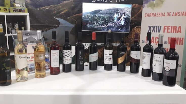 59285959_2275408569394559_2608977703566573568_n