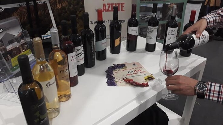 59838263_2275408679394548_8423412082799542272_n