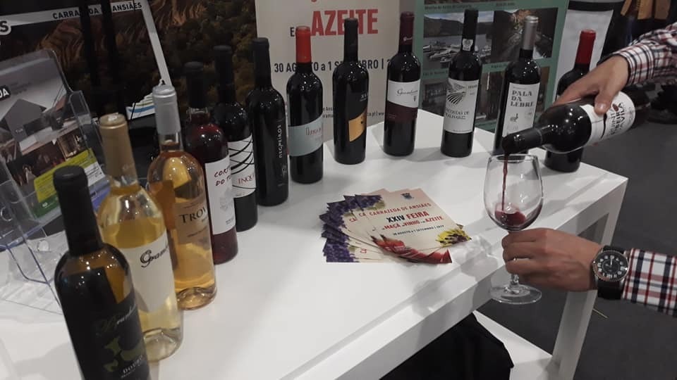 59838263_2275408679394548_8423412082799542272_n