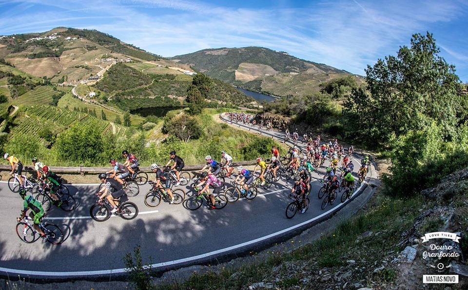 59570875_2184002688381347_7309744225636057088_n