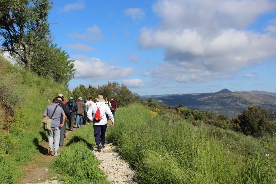 61126744_2285381608397255_4874044344811651072_n