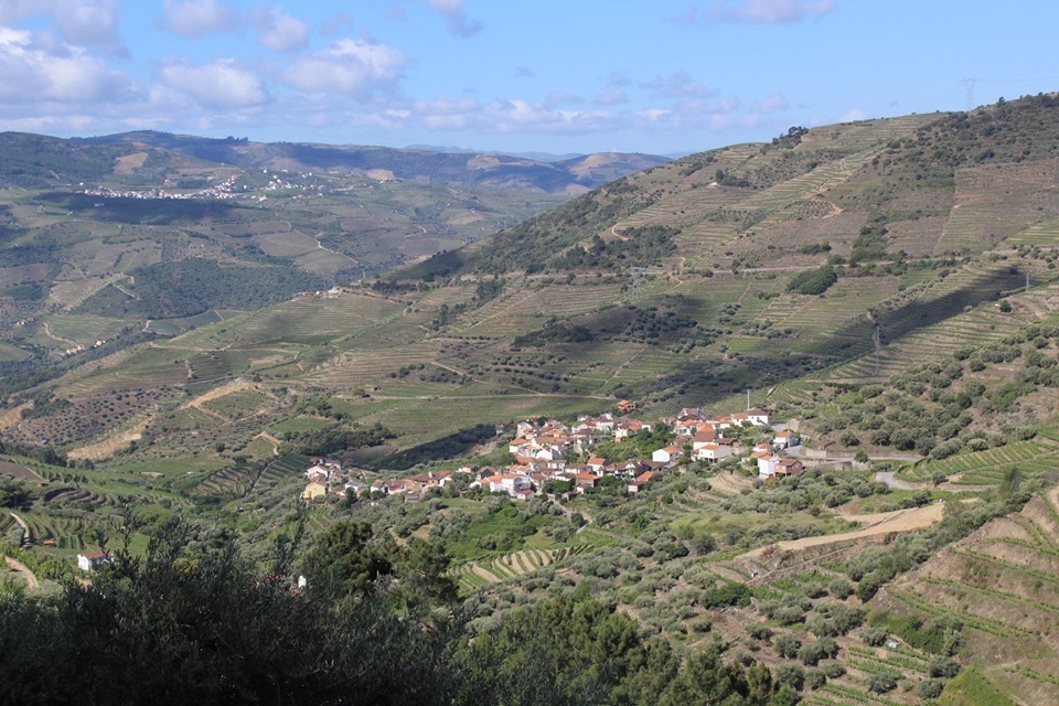 61152823_2285381678397248_3005754311448723456_n