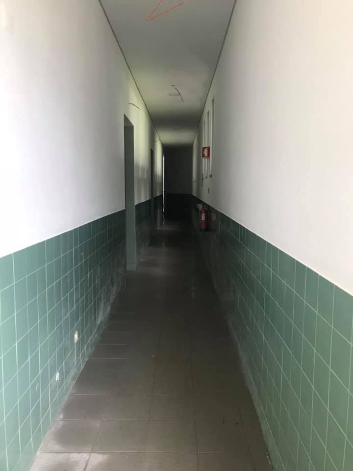 65184639_2312189885716427_6490874591433457664_n