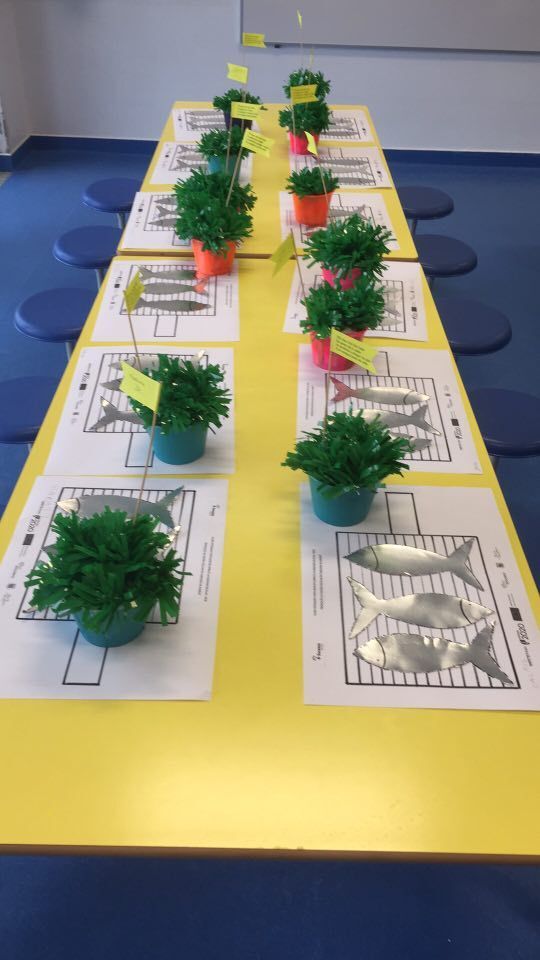 65099342_1011994445669357_2333197978044465152_n