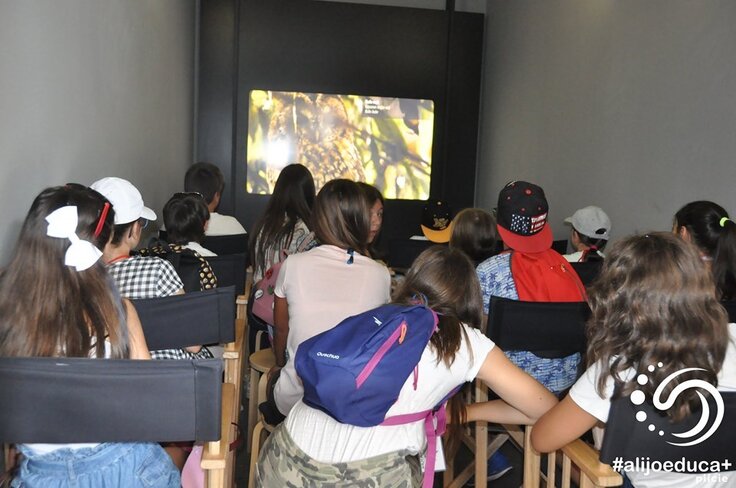 66704798_399243190728411_5689394193185636352_n