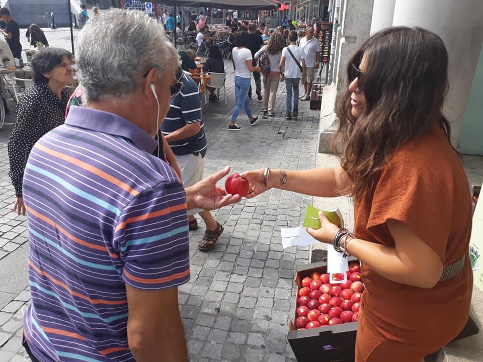 68678987_2356823021253113_3390197641567535104_n