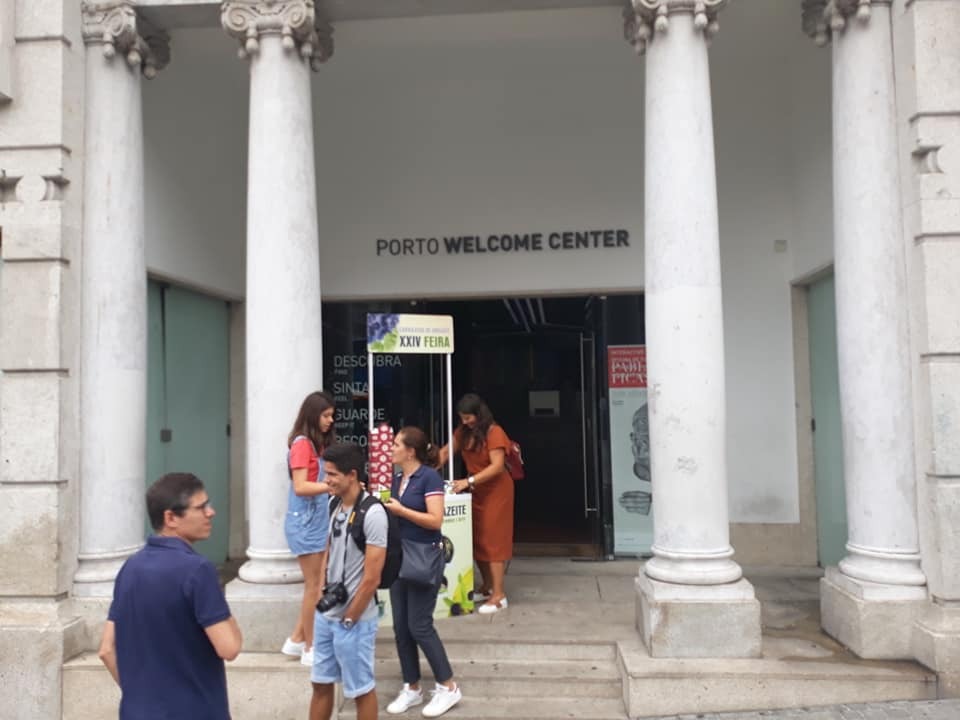 69696405_2356822481253167_7416154960972218368_n