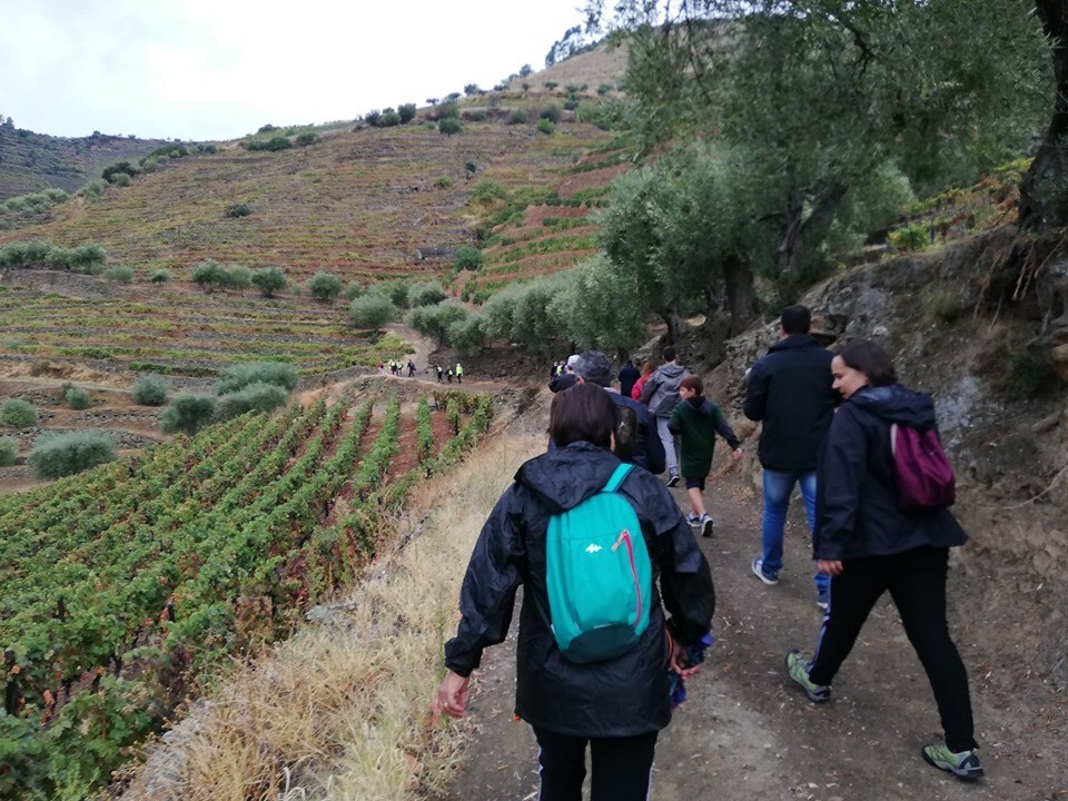 70493594_2377037295898352_5965883911161511936_n