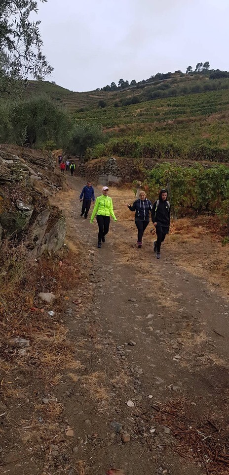 70874454_2377037692564979_8778211166389272576_n