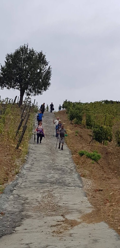 71034122_2377037455898336_2450866947944873984_n