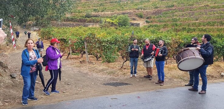 70996113_2377037495898332_6836115371334828032_n