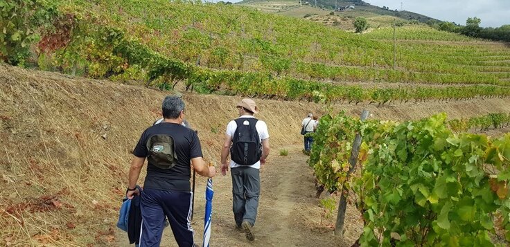 71017312_2377037445898337_3882062892647841792_n