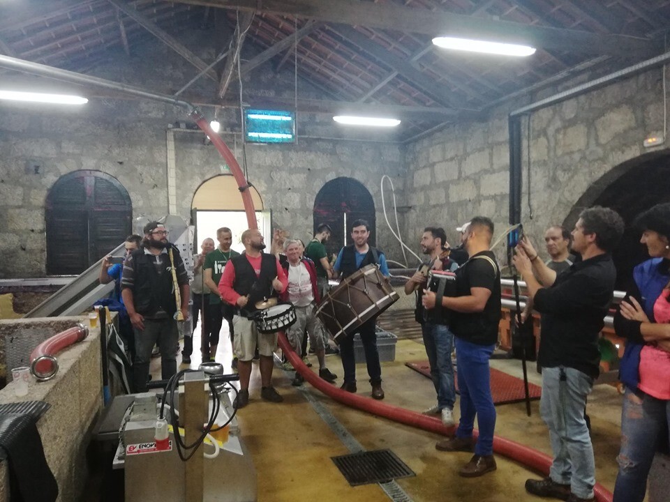 70859257_2377037799231635_3966948806674612224_n