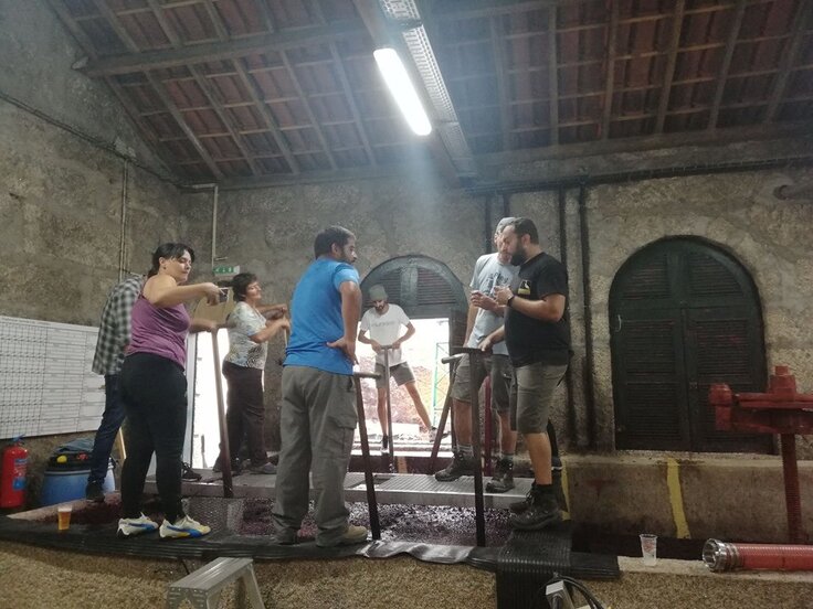 70948718_2377037782564970_7479327972776738816_n