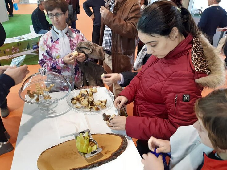 70326861_2433715536897194_4867233389968621568_n