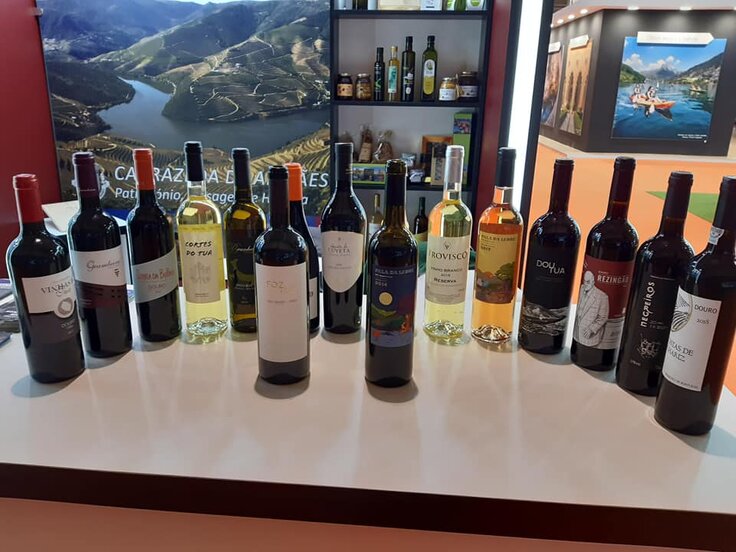 76603168_2433715230230558_7538713274397753344_n