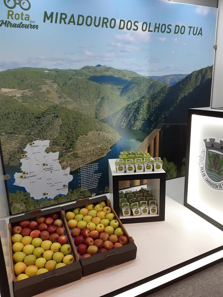 78410940_2433715783563836_4454109629751754752_n