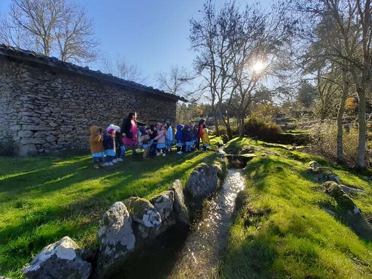 78926595_1235651733489509_3560320651917000704_n