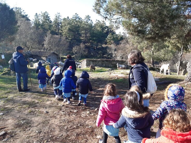 78683729_750246972053361_5910108825905528832_n